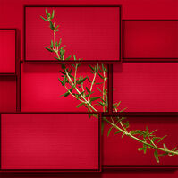 HUGO INTENSE  125ml-218308 HUGO INTENSE  125ml-218308 4